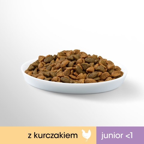 PERFECT FIT (Junior) 750g Bogaty w kurczaka - sucha karma dla kota Perfect Fit