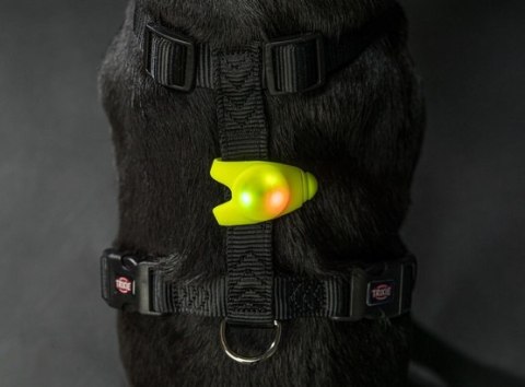 Trixie Flasher Zawieszka świecąca 11cm [13448]