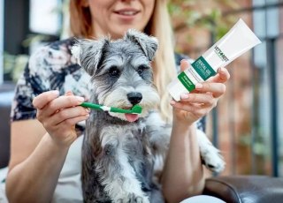 Vet's Best Dental żel + szczoteczka zestaw Adult