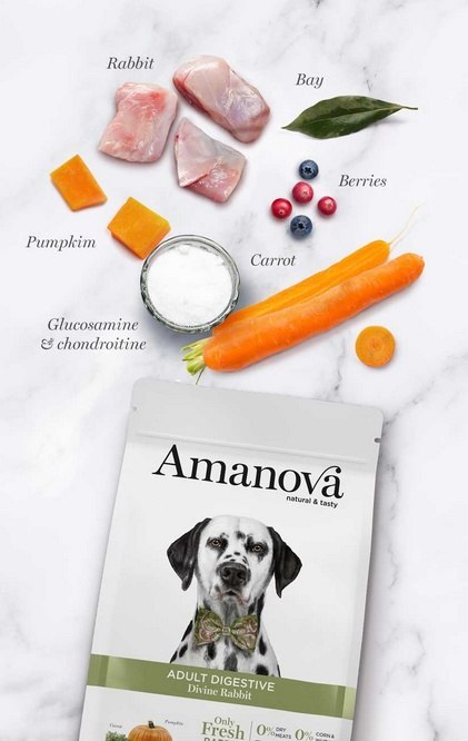 Amanova Dog Adult Digestive Divine Rabbit - królik 2kg