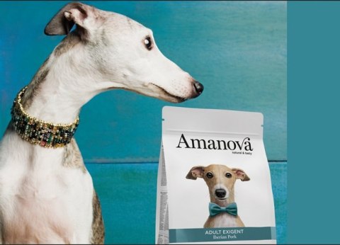 Amanova Dog Adult Exigent Iberian Pork - wieprzowina 10kg