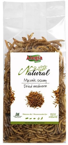 Alegia Mącznik suszony 60g