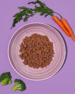 Amanova Dog Adult Brilliant Beef & Chicken - wołowina i kurczak saszetka 100g [P01]