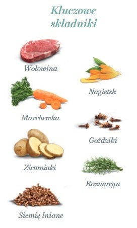Amanova Dog Adult Irresistible Beef - wołowina saszetka 300g [P02]