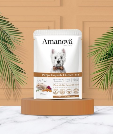 Amanova Dog Puppy Exquisite Chicken - kurczak saszetka 300g [P08]
