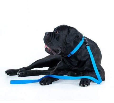Collar Waterproof Smycz wodoodporna L-XXL 25mm/183cm niebieska