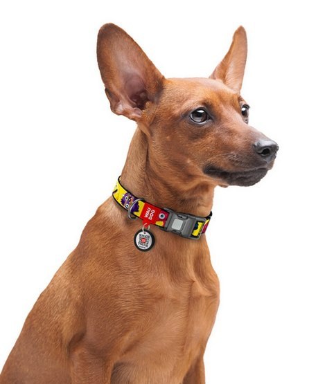 Collar WauDog Nylon Obroża nylonowa z QR-paszportem, plastikowy fastex, wzór FUTRZANE POTWORY, M 20mm/28-40cm