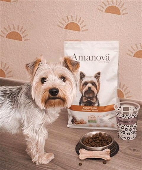 Amanova Dog Adult Mini Exquisite Chicken - kurczak 2kg