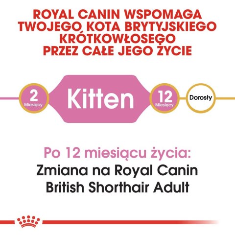 ROYAL CANIN British Shorthair Kitten 2kg Royal Canin