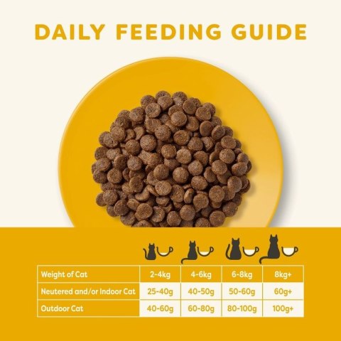 APPLAWS Complete Dry Adult Chicken With Salmon 400g Applaws