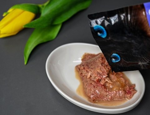 Josera Filet Z Kurczaka 70g Josera