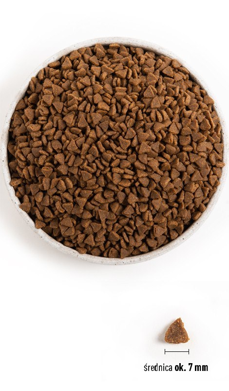 ACANA First Feast Cat 1,8kg Acana