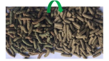 Versele-Laga Complete Cuni Sensitive Dla Królika 500g Versele-Laga
