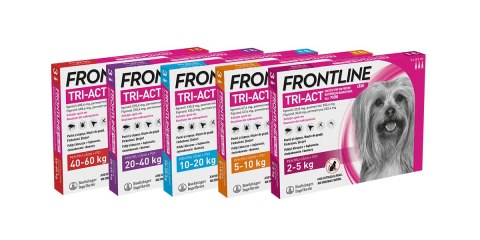 FRONTLINE Tri-Act Dla Psów 3x4ml Frontline (Boehringer Ingelheim)