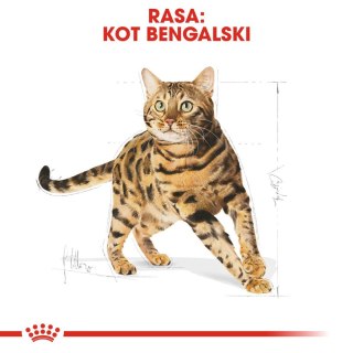 ROYAL CANIN Bengal Adult 10kg Royal Canin