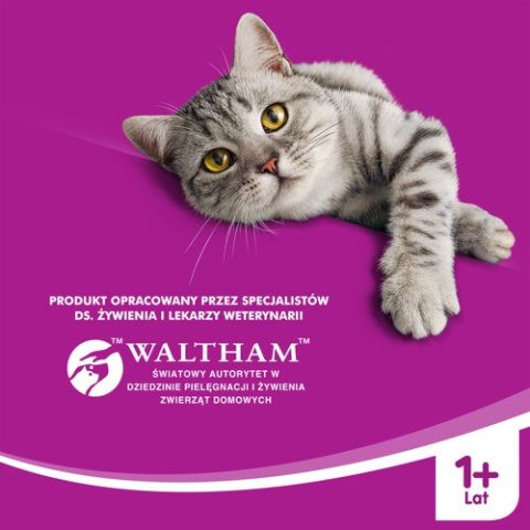 WHISKAS Karma Mokra 1+ Z Kurczakiem W Sosie 400g Whiskas