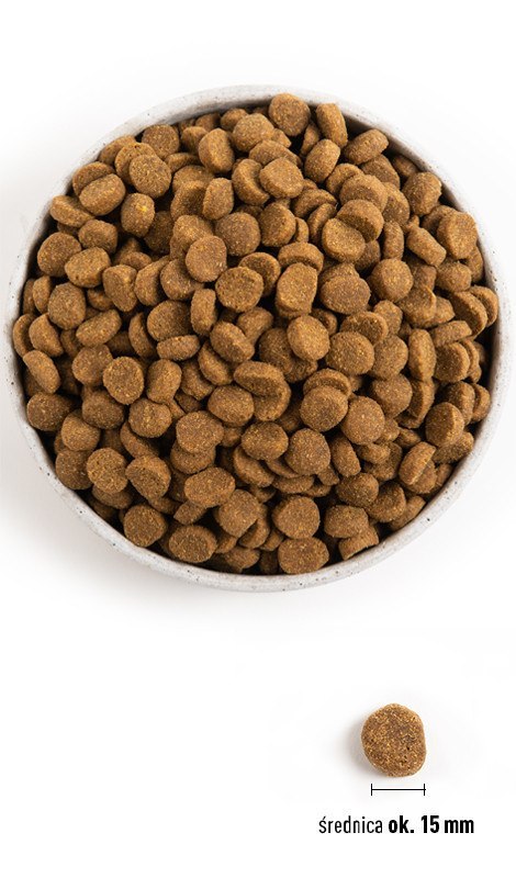 ACANA Puppy Large Breed 17kg Acana