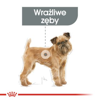 ROYAL CANIN CCN Mini Dental Care 3kg Royal Canin