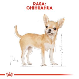 ROYAL CANIN Chihuahua Adult 1,5kg Royal Canin