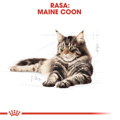 ROYAL CANIN Maine Coon Adult 10kg Royal Canin