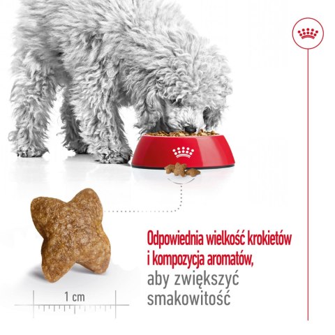 ROYAL CANIN Mini Adult 2kg Royal Canin