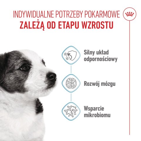 ROYAL CANIN Mini Puppy 8kg Royal Canin