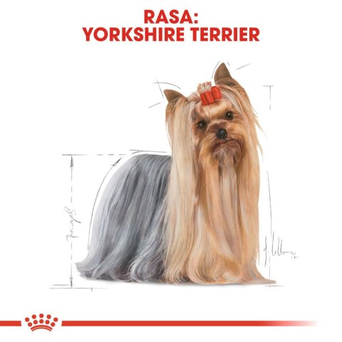 ROYAL CANIN Yorkshire Terrier Adult 1,5kg Royal Canin