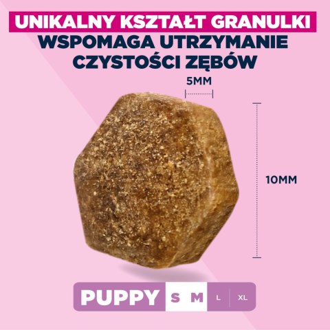 EUKANUBA Puppy&Junior Small/Medium Lamb&Rice 12kg Eukanuba