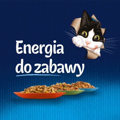 Felix Duo Wiejskie Smaki W Galaretce Z Mięsem 12x85g Felix
