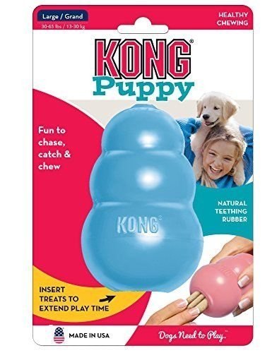 KONG Puppy L KONG Company