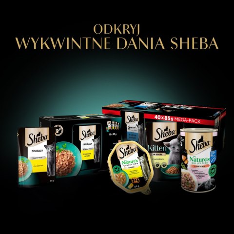 Sheba Delicacy Drobiowe Smaki W Galaretce, Z Kaczką, Z Kurczakiem, Z Drobiem, Z Indykiem 80x85g Sheba
